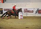 ADAMO GIOVANNI_HOLLAND SIX